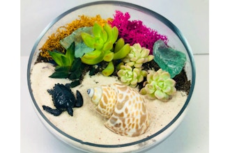 Plant Nite: Beach Side Slope Bowl - with sea creature
